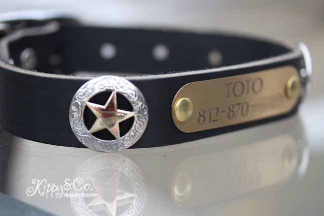 Texas Star Leather Dog Collar With a Personalized Name Plate in Brass or Silver Kippy and Co