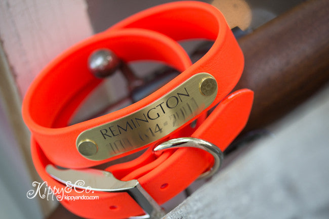 Personalized hunting dog collars best sale