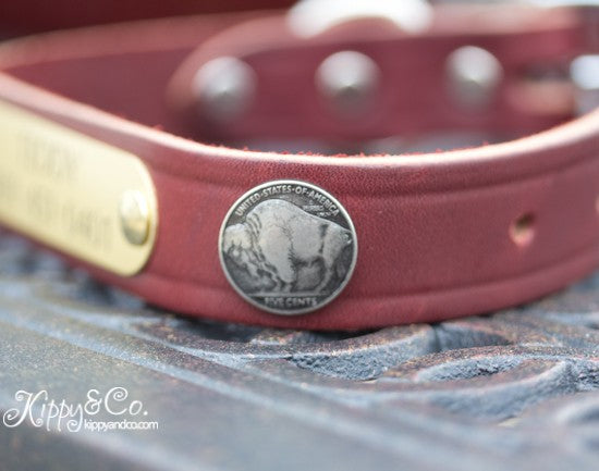 Concho dog collar best sale