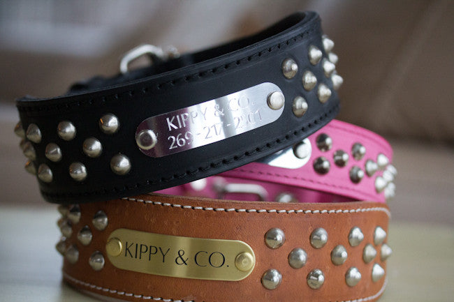 2 inch Leather Dog Collar Studded Kippy and Co