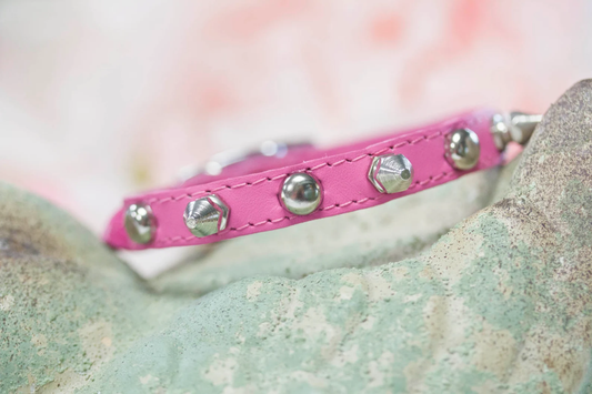 Tiny Stud Spike Collar