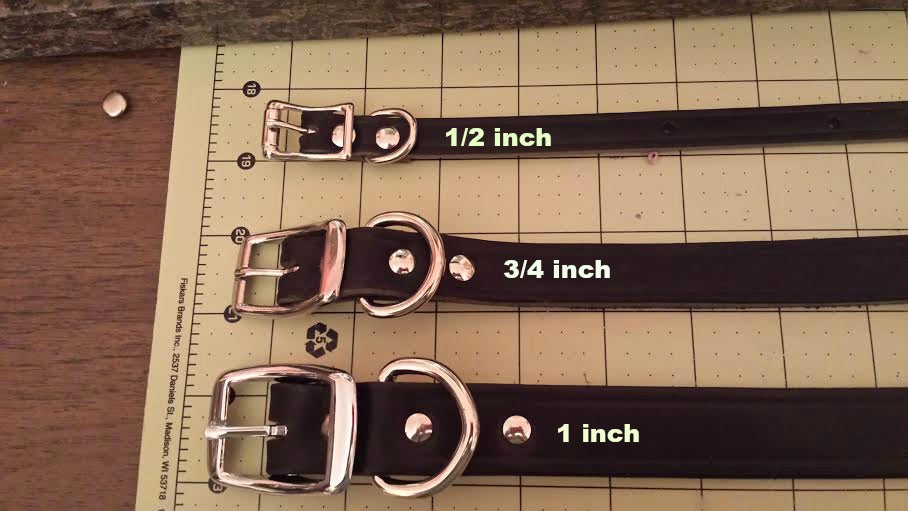 Leather Dog Collar 3/4 inch Personalized