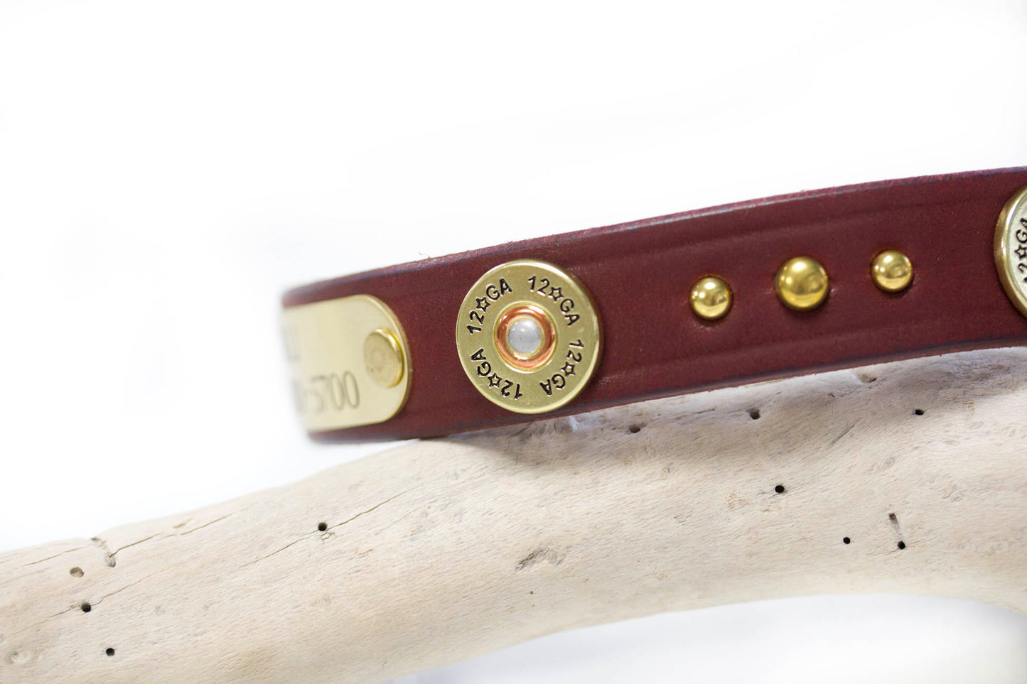 Dog Collar 12 gauge Gun