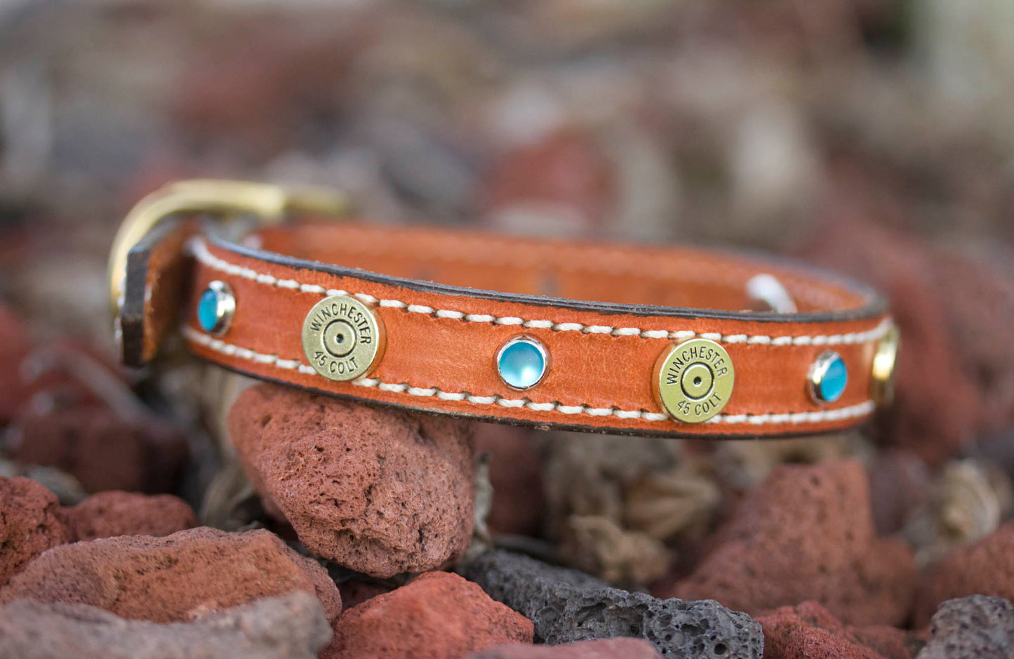 Winchester Gun Dog Collar