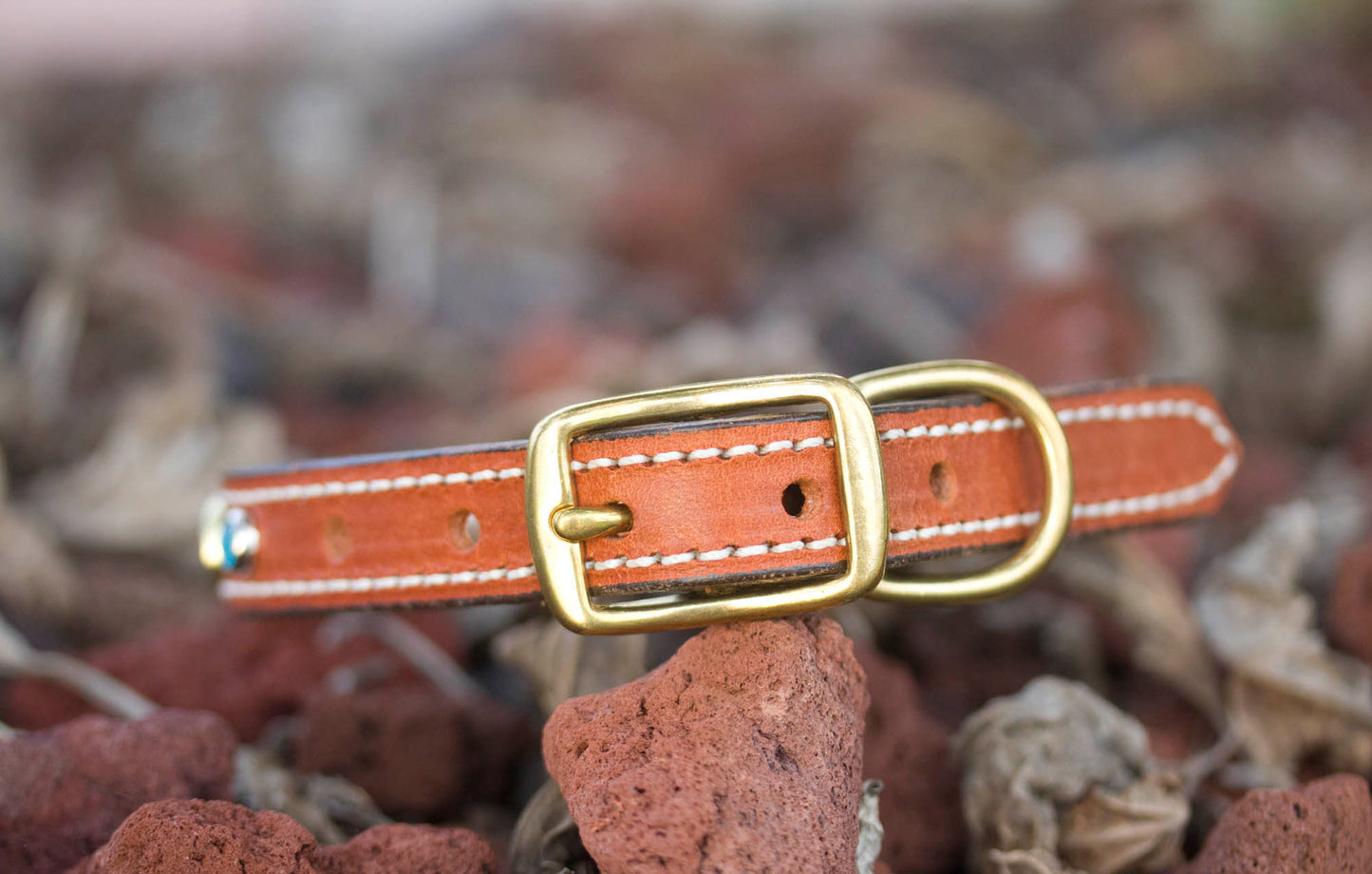 Winchester Gun Dog Collar