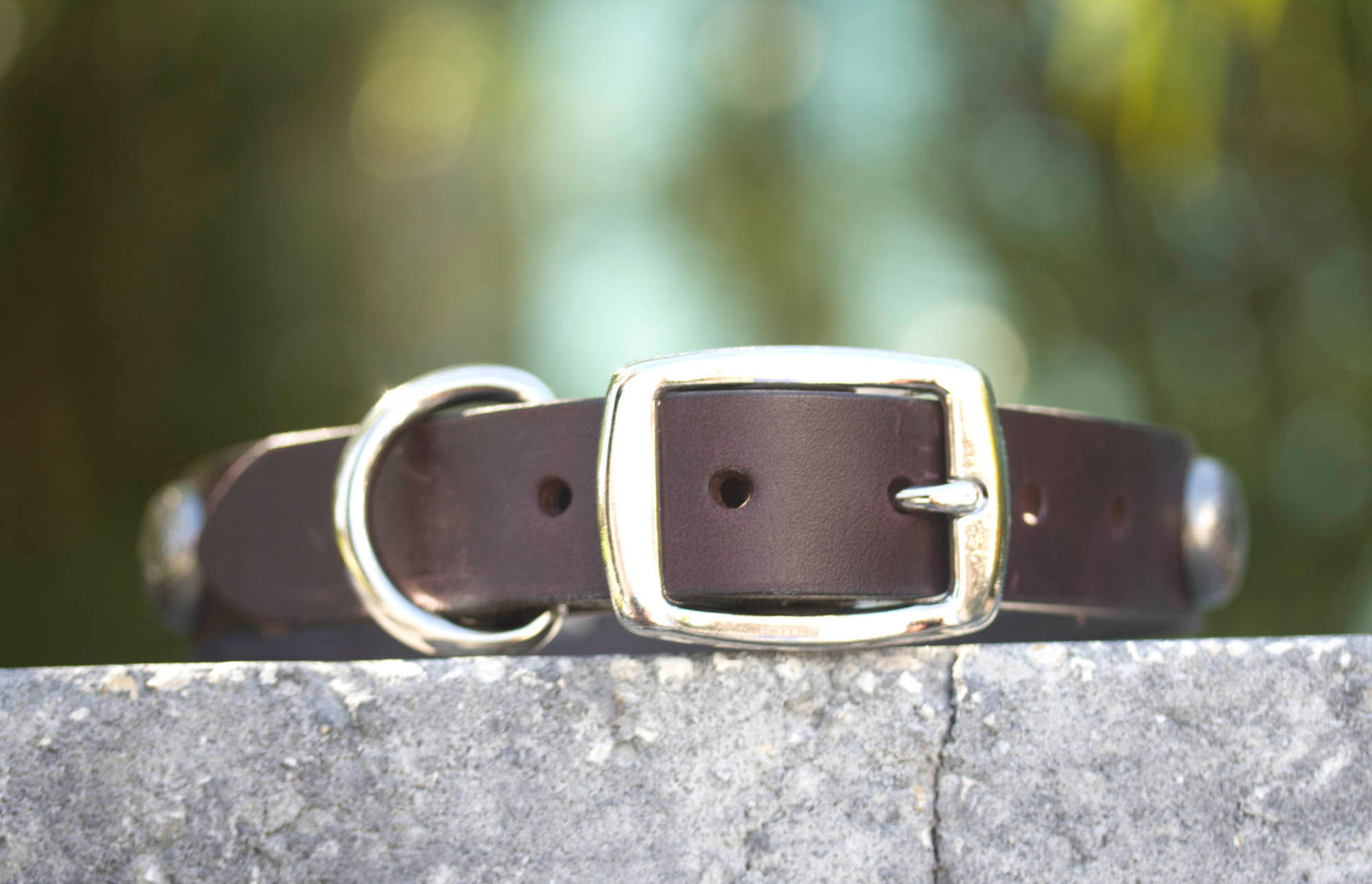 Western Cowboy Dog Collar