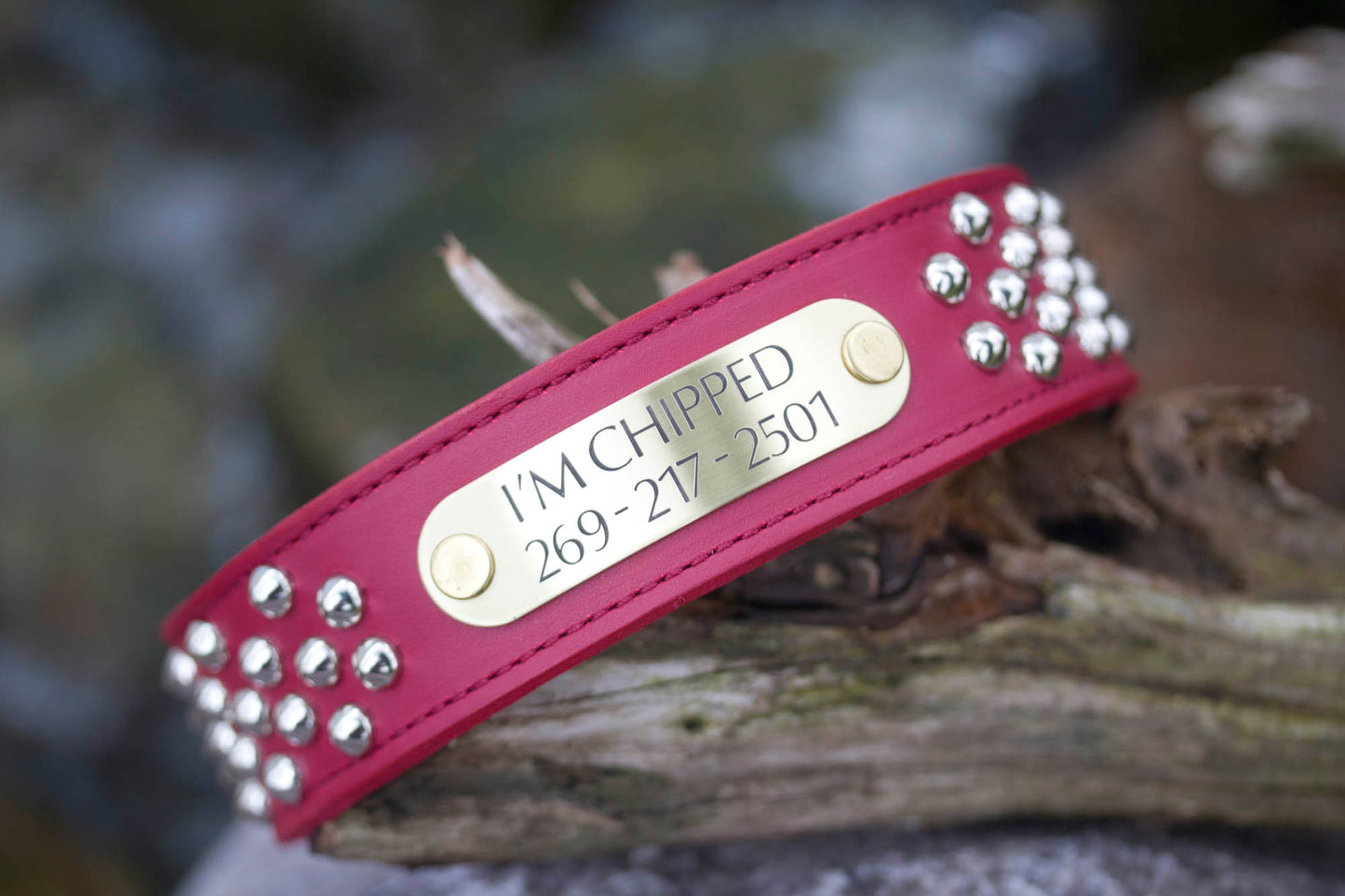 Leather Stud Collar Personalized