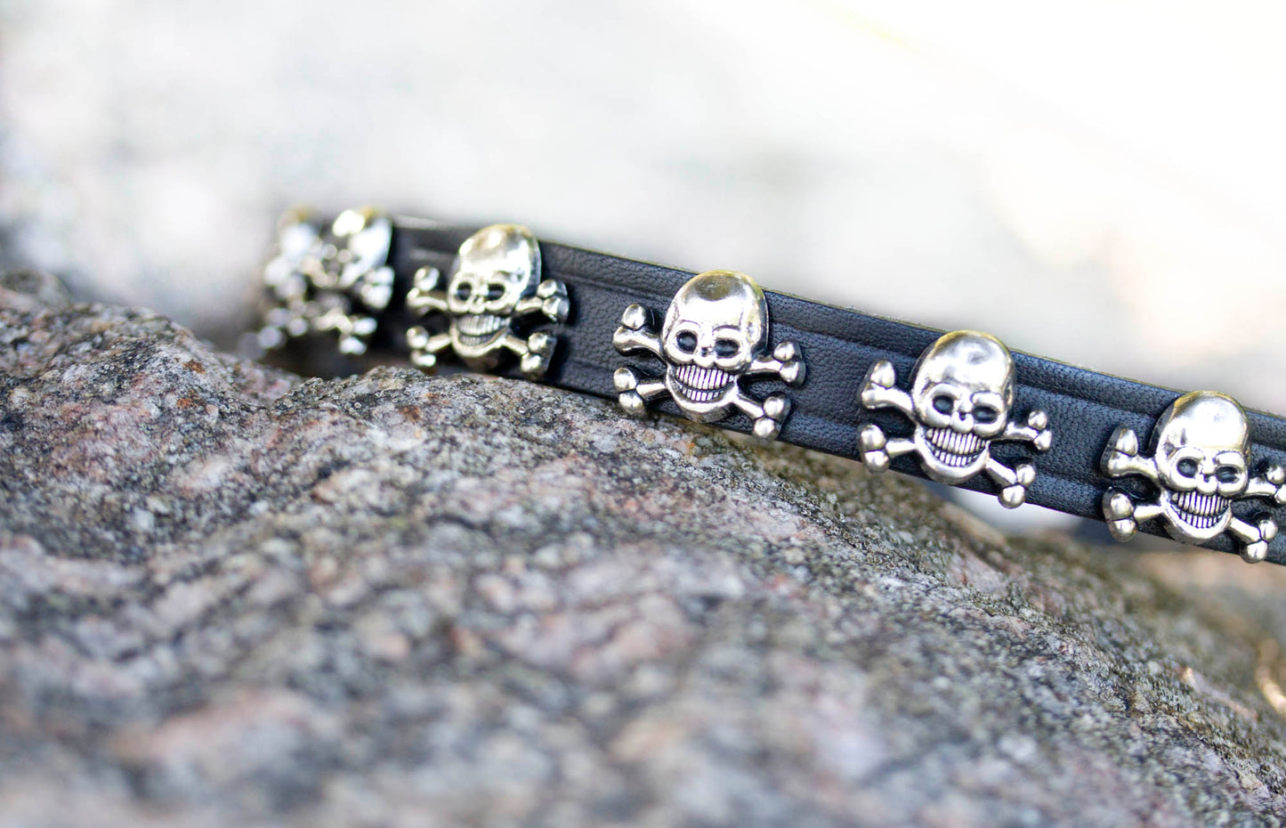 Punk Leather Skulls