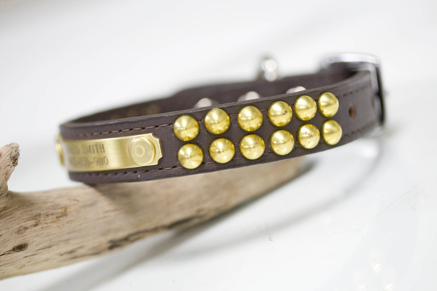 3/4 inch wide leather collar with brass cone studs and personalized name plate