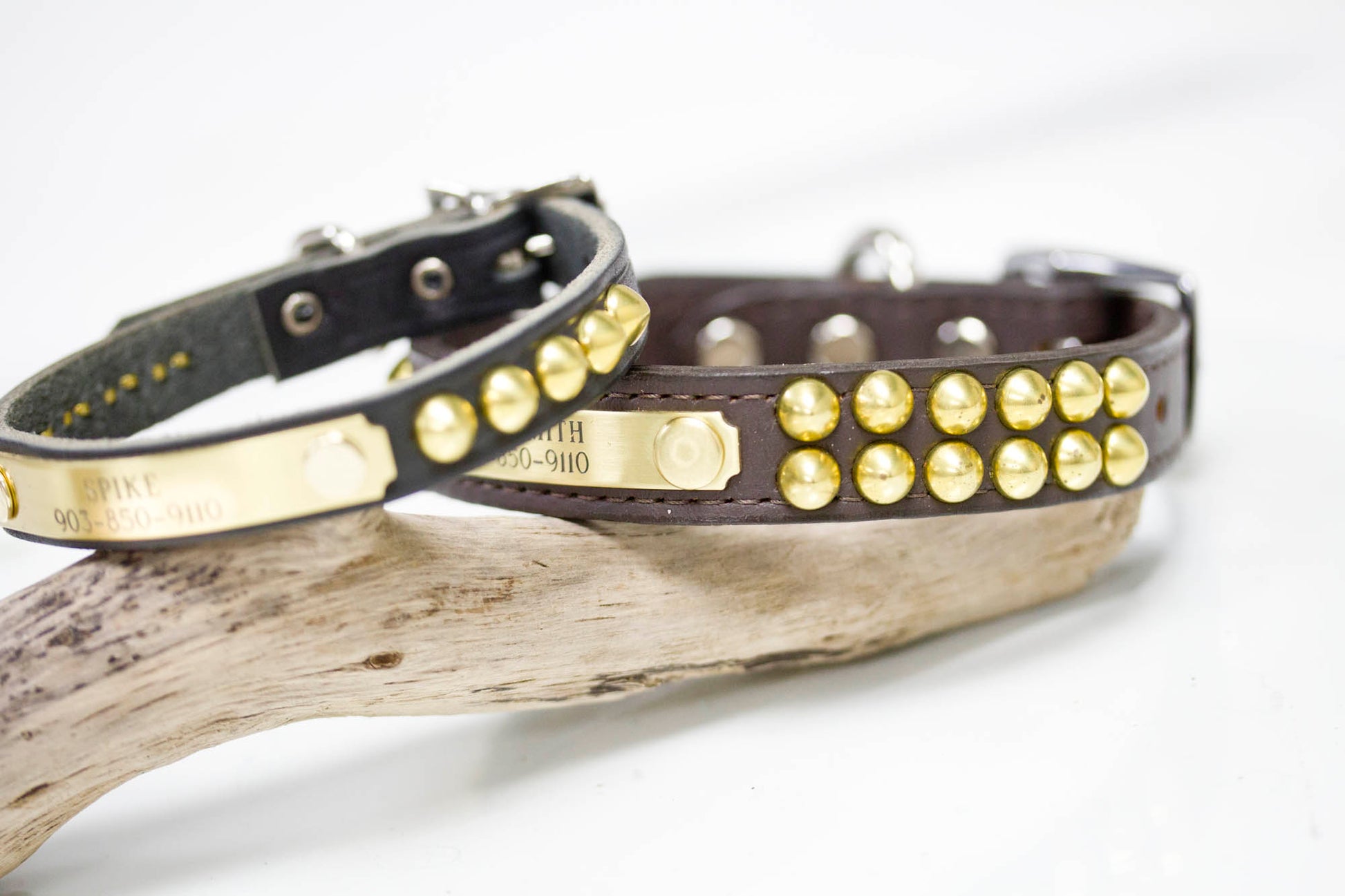 3/4 inch wide leather collar with brass cone studs and personalized name plate