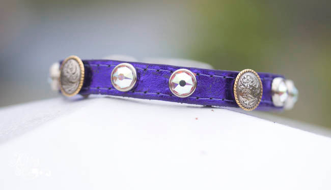 Tiny leather collar with round berry conchos and swarovski crystals