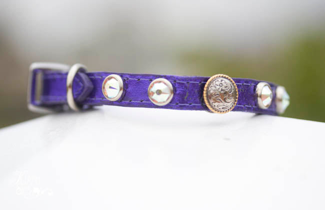 Tiny leather collar with round berry conchos and swarovski crystals