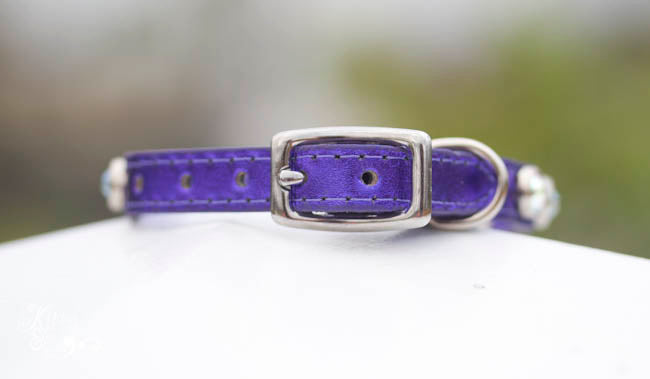 Tiny leather collar with round berry conchos and swarovski crystals