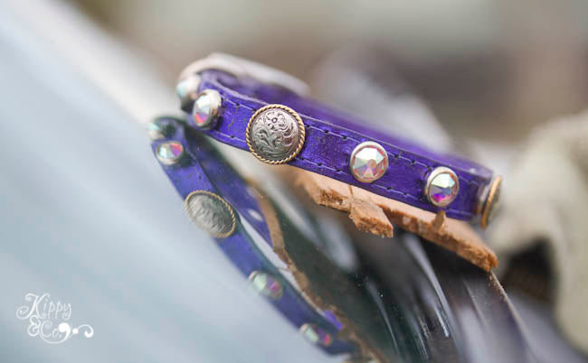 Tiny leather collar with round berry conchos and swarovski crystals