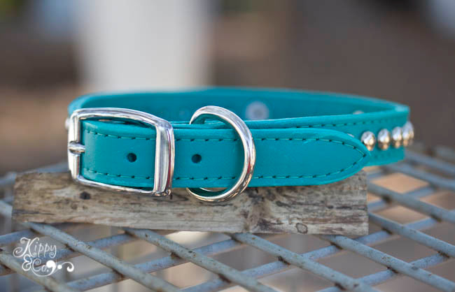 Personalized Turquoise Studded Collar