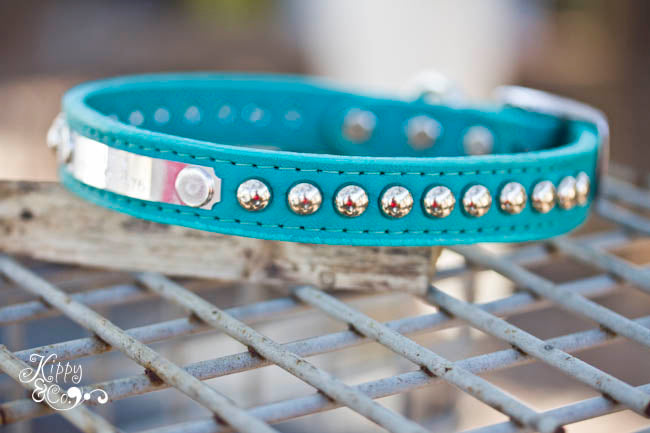 Personalized Turquoise Studded Collar