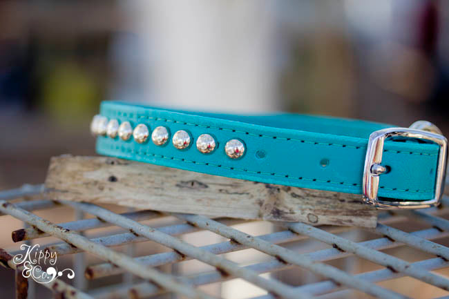 Personalized Turquoise Studded Collar