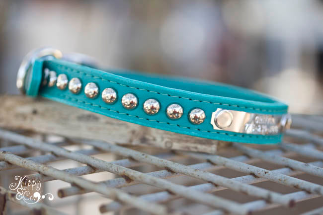 Personalized Turquoise Studded Collar