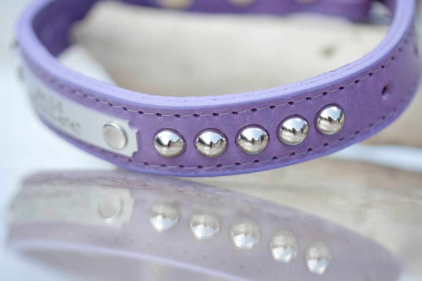 Leather Studded Collar