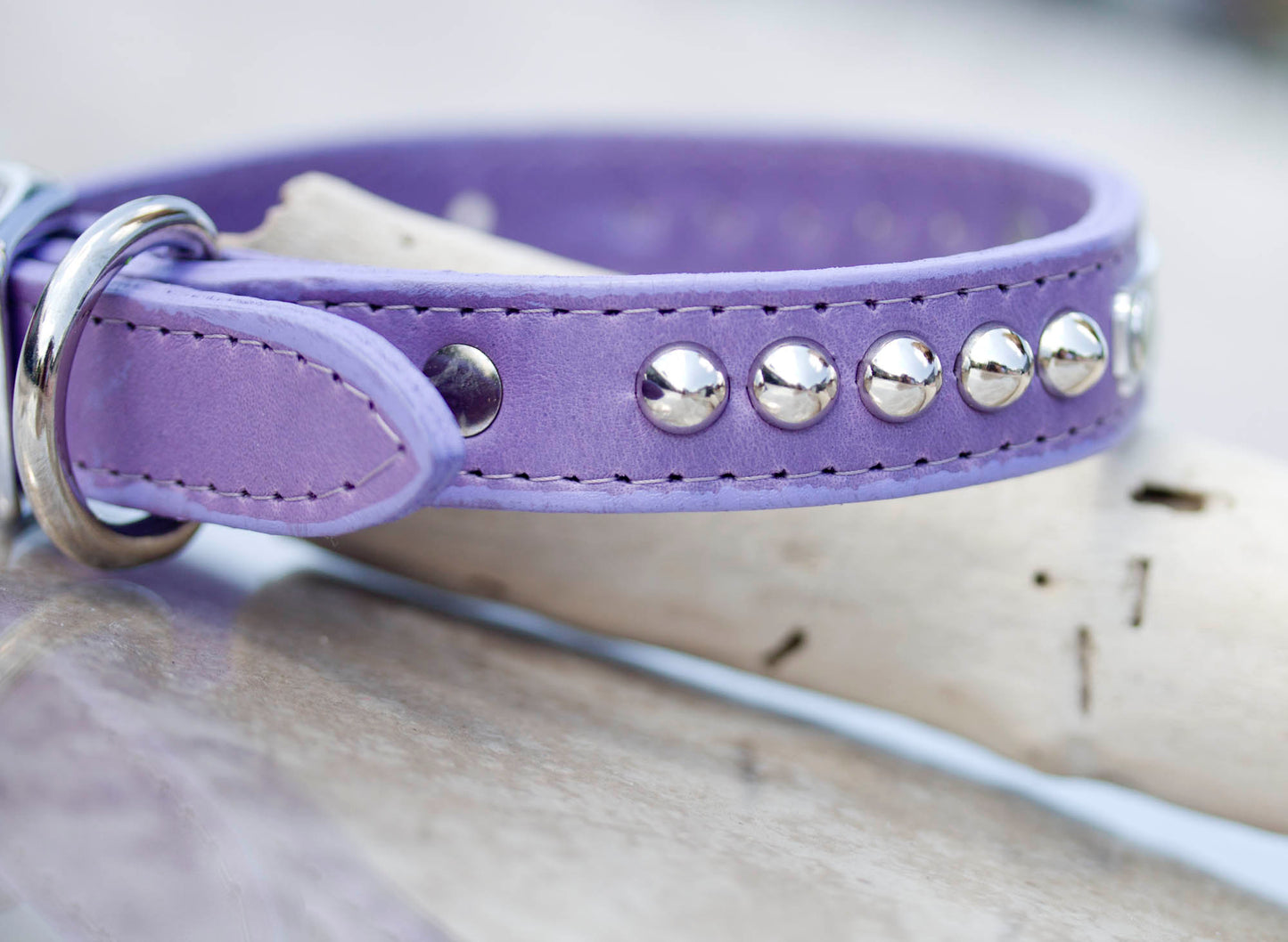 Leather Studded Collar