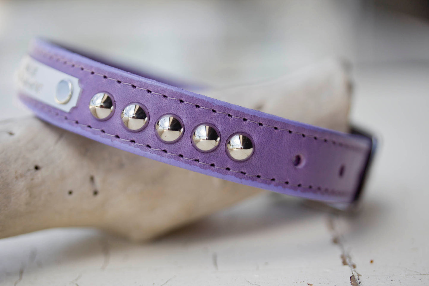 Leather Studded Collar