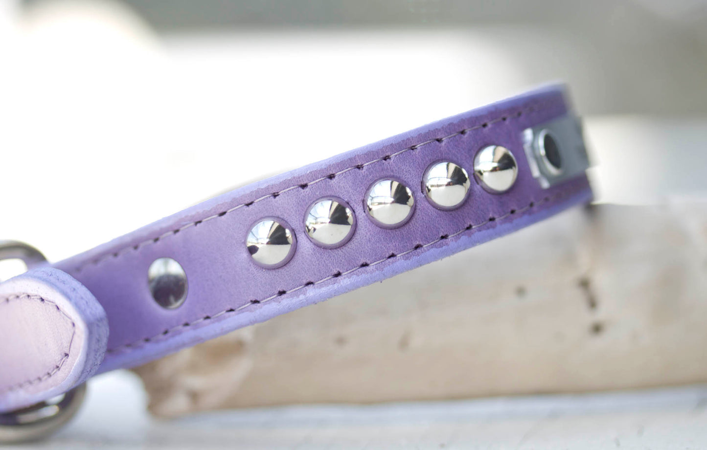 Leather Studded Collar