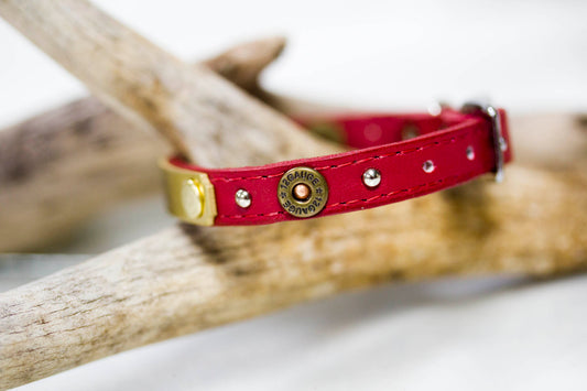 Tiny Leather Collar with 12 gauge concho and nickel spots and a personalized name plate