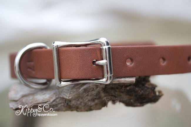 Leather Collar with Swirl Conchos and a name plate