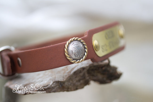 Leather Collar with Swirl Conchos and a name plate