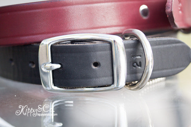 Personalized Leather Dog Collar With Engraved Name Plate