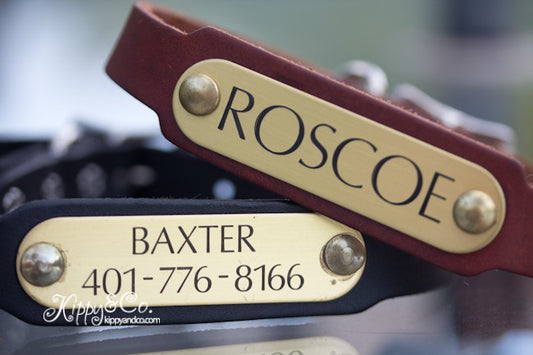 Personalized Leather Dog Collar With a Brass or Silver Name Plate