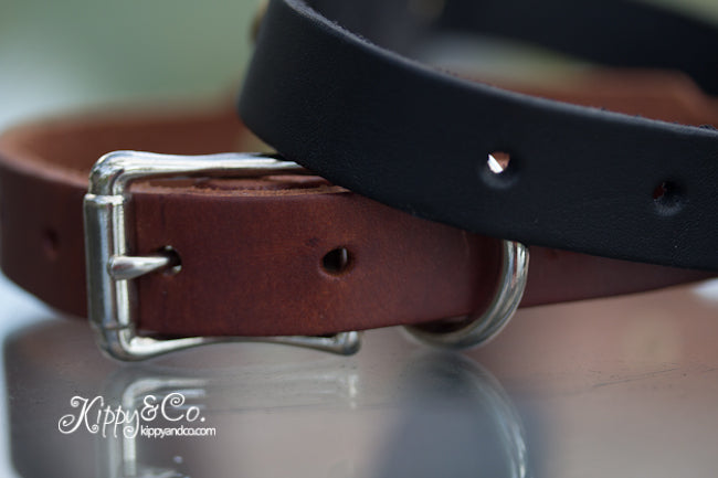 Leather Collar with Swirl Conchos and a name plate