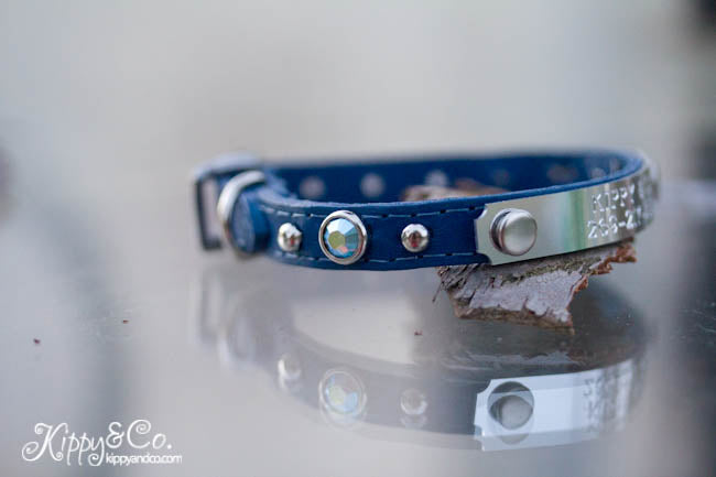 tiny leather collar with personalized name plate and silver spots and crystals