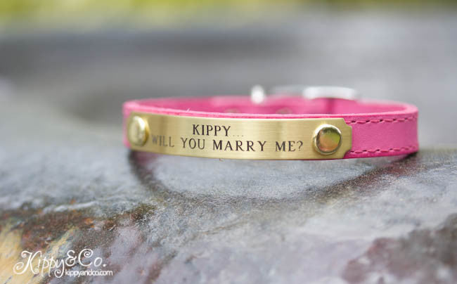 Small Lightweight Collar with Personalized name plate