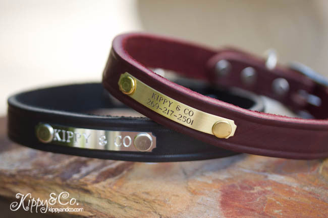 Leather Dog Collar With Personalized Name Plate