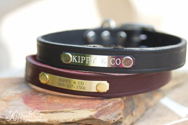 Leather Dog Collar With Personalized Name Plate