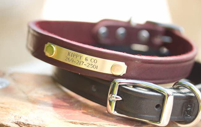 Leather Dog Collar With Personalized Name Plate