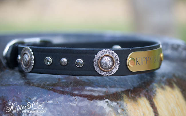 Leather Dog Collar With Antique Silver Floral Conchos, Silver Spots and Black Diamond Crystals, Personalized Name Plate