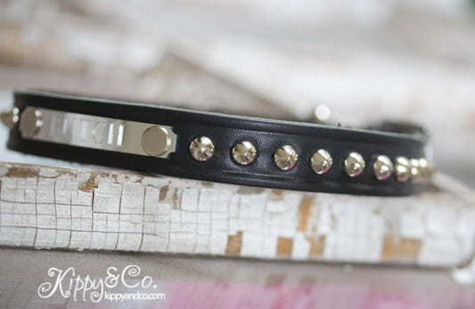 Leather Dog Collar with Personalized Name Plate and silver cone studs