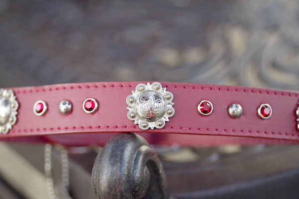 Red Leather Collar