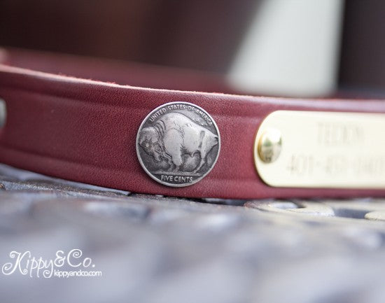 Leather Buffalo Concho Dog Collar With Engraved Name Plate