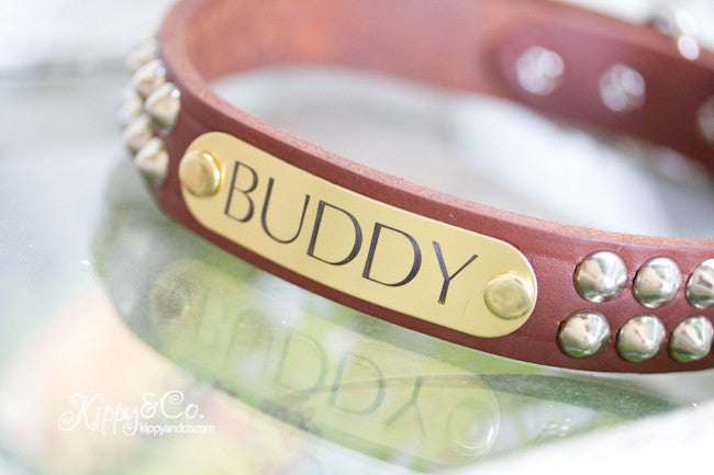 Brown Leather Studded Collar With Engraved Name Plate in Brass or Silver