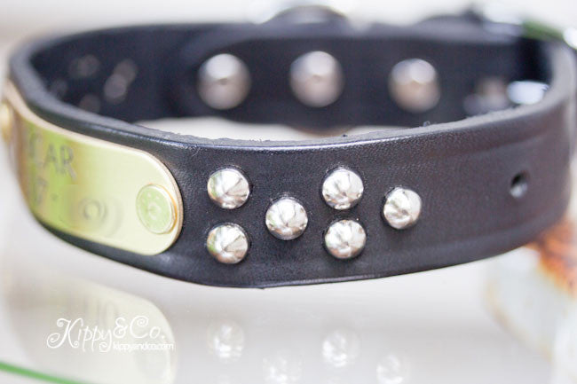 Personalized Black Leather Studded Collar  With Engraved Name Plate