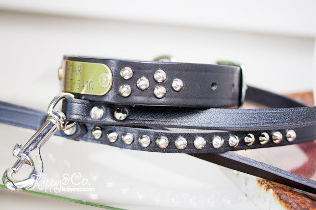 Black Leather Leash With Silver Studs