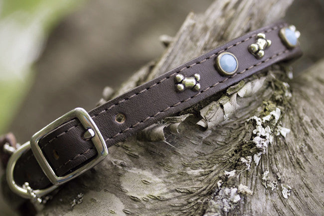 Brown Leather Turquoise and Bone Dog Collar