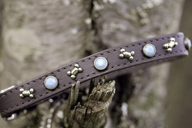 Brown Leather Turquoise and Bone Dog Collar