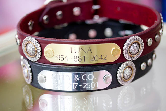 Leather Dog Collar With Antique Silver Floral Conchos, Silver Spots and Black Diamond Crystals, Personalized Name Plate