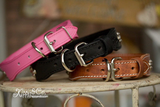 Leather Studded Dog Collar With Engraved Name Plate in Brass or Silver