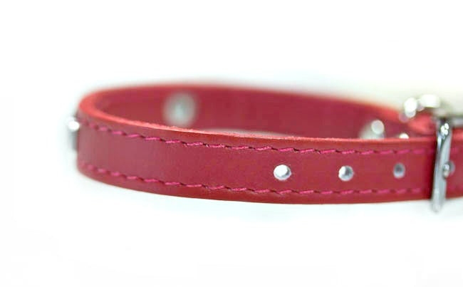 Red Leather Personalized Collar