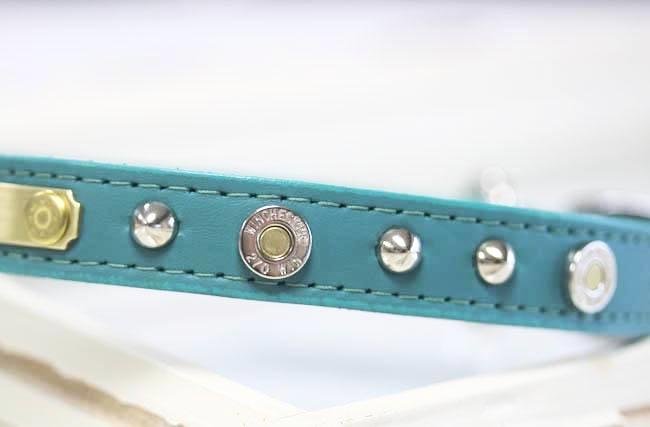 Winchester Dog Collar Personalized